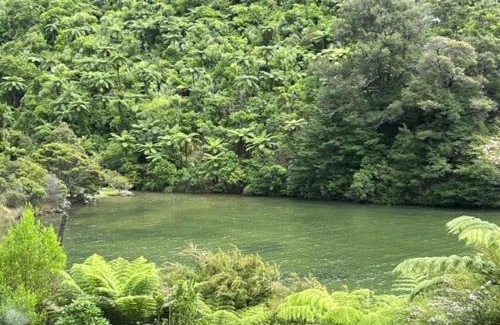 Saint Omer House | Waterfall Bay