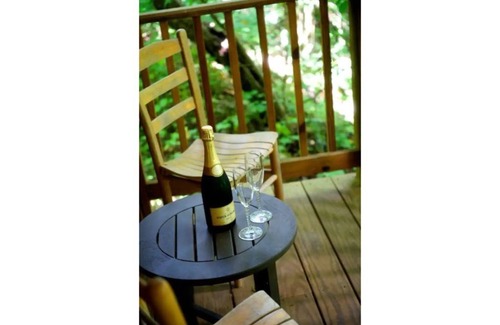 Swannanoa Cottage | Waterfall Cottage near Asheville, North Carolina