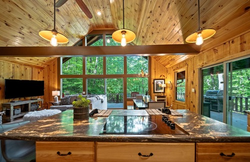 Walnut Mountain Cabin | Waterfall Lake Retreat- On lake with kayaks and hot tub