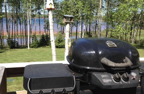 Cardigan Cottage | Waterfront - AC beach steps away Kayaking Paddle Boat Canoeing Bbq Gazebo Hamock