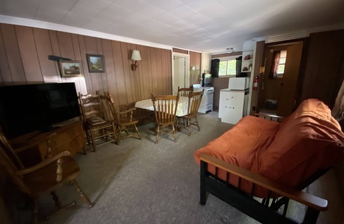 Mayfield Cabin | Waterfront Bellaire Style Cabins 20 min from Downtown Traverse City - Cabin #4