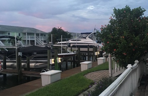 Coquina Key Condo | Waterfront Bliss on Tampa Bay: Minutes from Downtown St. Pete & Gulf Beaches!