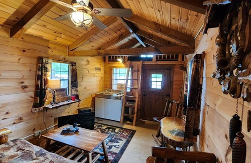 Colton Cabin | Waterfront Cabin - Hot Tub - Free Bikes, Kyaks, Canoes, Paddle, & Fishing Boats!