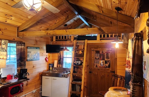 Colton Cabin | Waterfront Cabin - Hot Tub - Free Bikes, Kyaks, Canoes, Paddle, & Fishing Boats!