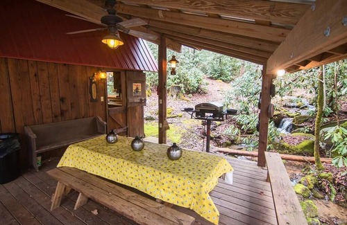 Robbinsville Cabin | Waterfront Cabin with private hiking trails, fire pit, wifi, park-like views