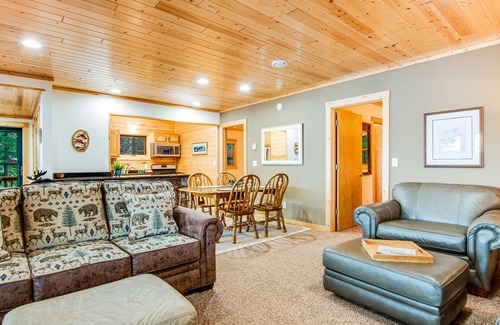 Sayner Condo | Waterfront cabin with Plum Lake views, private dock, beach access & kayaks