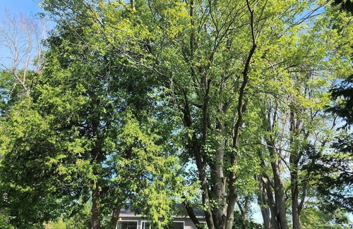 Drummond-North Elmsley Cottage | Waterfront Cottage, Adults' Retreat, Private. To Do: Fish Hike Kayak Canoe WiFi