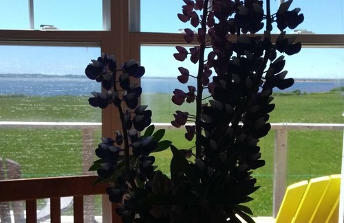 Darnley Cottage | Waterfront Cottage ~ The Shores at Darnley Cottages (1 of 3)