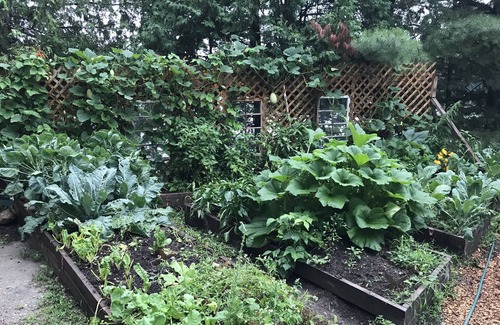 Messines House | Waterfront cottage with pick-your-own vegetable garden