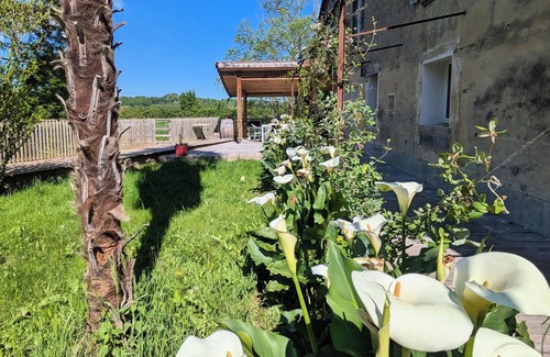 Fourques-sur-Garonne House | Waterfront house - Nature, relaxation & family