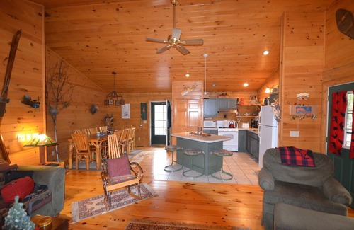 Bellaire Cabin | Waterfront log home on Lake Bellaire. Pet friendly. Fireplace, dock. dog ok