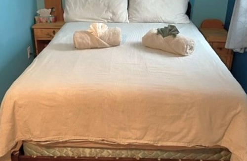 Amherst Ski Chalet | Waterfront, Nature and activities