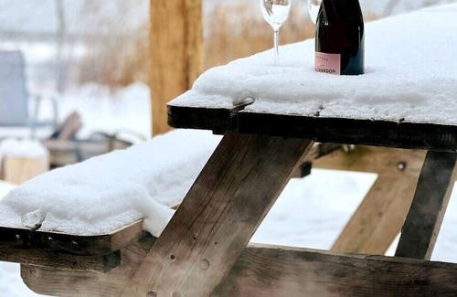 Cleveland Cabin | Waterfront* Spa *Sauna