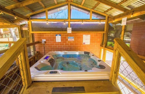 Seguin Cabin | Waterfront Sweet Medicine Treehouse