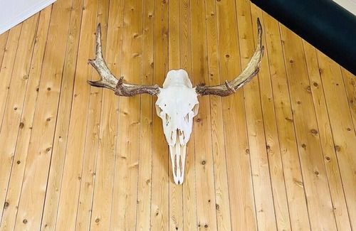 Weedon Ski Chalet | Waterfront- The Happiness Retreat