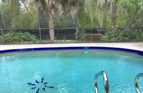 Warm Mineral Springs House | Waterfront Villa Manatee on Warm Mineral Springs *Pool *Deck