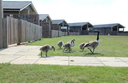 Cambridge Ski Chalet | Waterside Lodges Cambridge