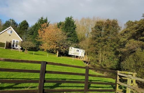 Low Catton Ski Chalet | Waterside Shepherds Hut