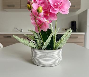 Ransart Apartment | Wauters 77 Bruxelles -charleroi-airport