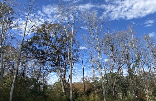 Spanish Wells House | Wavecation Hilton Head