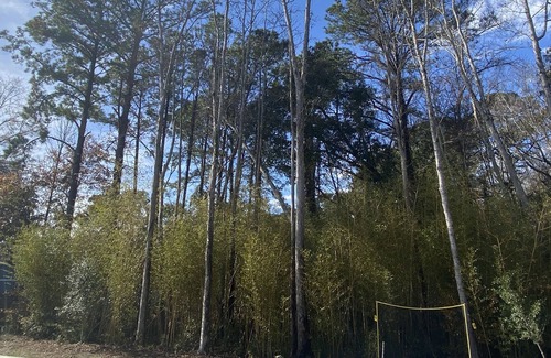 Spanish Wells House | Wavecation Hilton Head