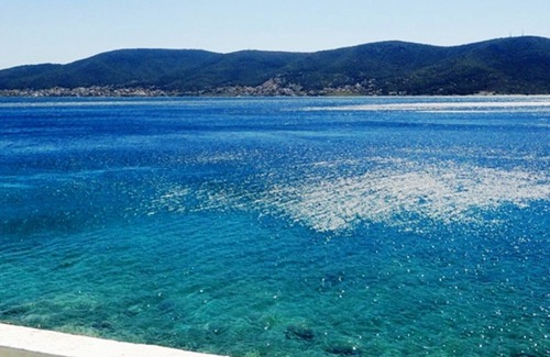 Salamis House | Wavedance Accommodation (Posidonas)
