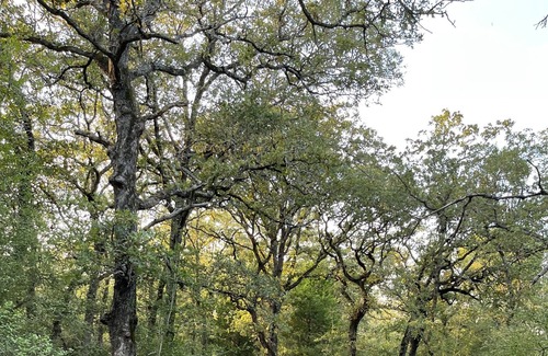 Lee County House | Way, way off the grid in a Lux RV 25 minutes from Austin