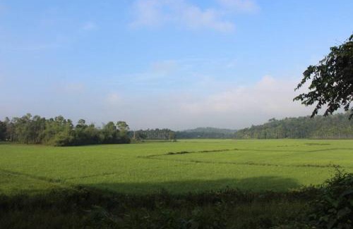 Panamaram Villa | Wayal Wayanad Twin Villa