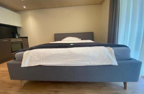 Pfaefers Dorf Apartment | WAZ Wohnen auf Zeit - Flums