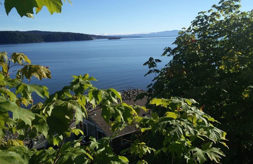 Regional District of Nanaimo Apartment | We are close to hiking trails, caves , alpine resort, beaches