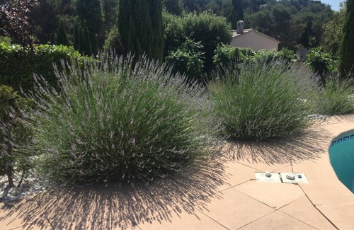 Aurons House | We will welcome you in a typical village in the heart of Provence