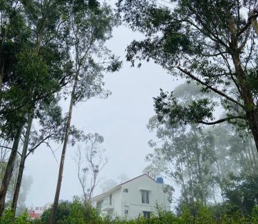 Yercaud Villa | Weekend 3BHK Luxury Villa, Yercaud