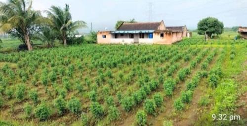 Junnar House | Weekend Holiday Farmhouse Malshej Homestay
