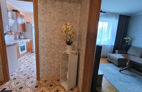 Visaginas Apartment | Weekend Home