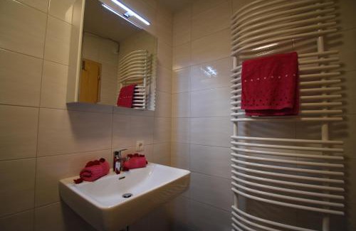 Ellboegen Apartment | Wegscheiderhof