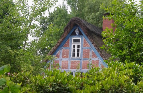 Worpswede Apartment | Weidenhoff - Holiday apartment