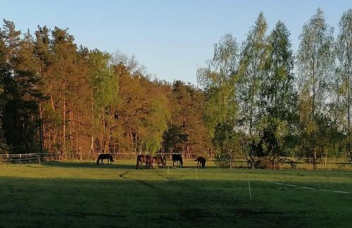Frauendorf House | Weidmannsruh Natur pur - exklusives Tiny house