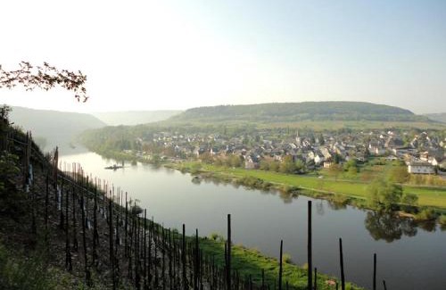 Punderich House | Wein & Wohngut Paulushof
