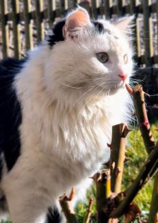 Rasa Apartment | Weinberg Apartments & Acquarenacard