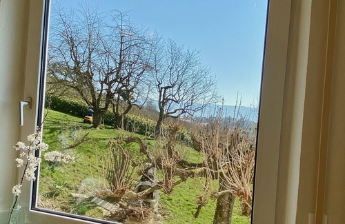Lindau Apartment | Weinberg Idyll vacation apartment - Fantastic view over vineyards to Lake Constance