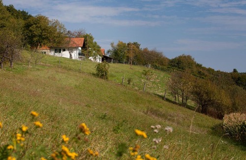 Neuhaus am Klausenbach House | Weinbergstöckl Gombotz