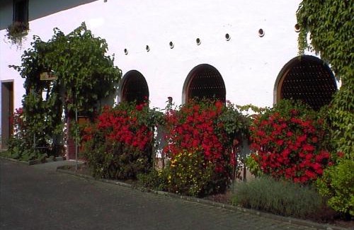 Osann Apartment | Weingut Arnold Pauly