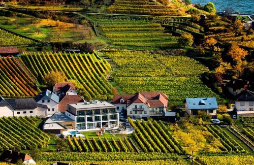 Spitz House | Weingut Donabaum "In der Spitz"