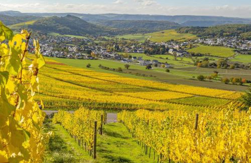 Oberemmel Apartment | Weingut-Ferienwohnungen Lorenz - nur Urlaubsgäste