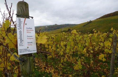 Eltville am Rhein House | Weingut & Gästehaus Engelmann-Schlepper