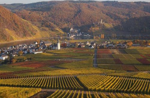 Ellenz Apartment | Weingut im Moselkrampen