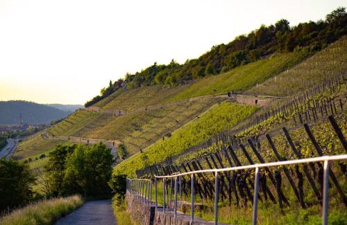 Eibelstadt Apartment | Weingut Leininger Ferienwohnungen