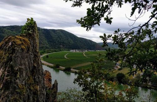 Poltersdorf Bed & Breakfast | Weingut Pension Hammes-Krüger