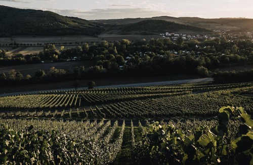 Monzingen Apartment | Weingut und Gästehaus Holger Alt - Doppelzimmer