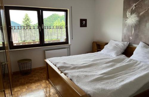 Amorbach Apartment | Weitblick 1